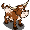 Western Longhorn Cow