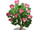 Alpenrose Tree