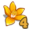 Orange Flowers-icon.png