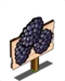 Black Berries Mastery Sign-icon