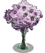 Plum4-icon