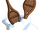 Snow Shoes-icon.png