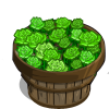 Green Roses Bushel