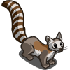 Ringtail Cat