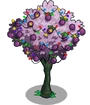 Plum6-icon