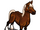 Quarter Horse-icon.png