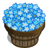 Forget-Me-Not Bushel