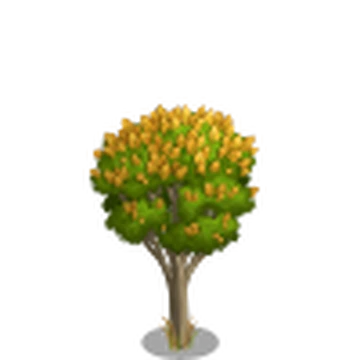 Sandalwood Tree Farmville Wiki Fandom