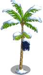 Acai8-icon