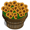 Sunflowers Bushel