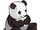 Giant Panda-icon.png