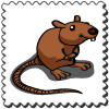 Rat Stamp