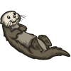 Sea Otter