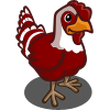 The Goose That Laid The Golden Eggs Chicken Food Egg Carton PNG, Clipart,  Animals, Candy, Chicken