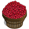 Cranberries Bushel