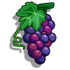 Grapes-icon