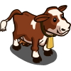 Simmental Cow