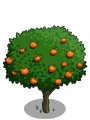 Orange2-icon
