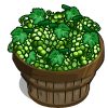 White Grapes Bushel