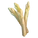 White Asparagus
