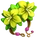 Tembesu Corsage