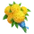 Yellow Marigold Bouquet