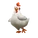 White Chicken
