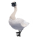 Trumpeter Swan
