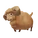 Portland Sheep