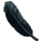 Black Feather
