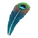 Peacock's Plume Feather