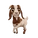 Boer Goat