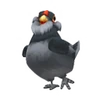 Ameraucana Chicken