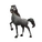 Andalusian Horse