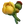 Cow Lily