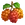 Salmonberry