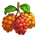 Salmonberry
