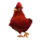 Rhode Island Red Chicken