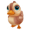 Baby Mandarin Duck