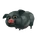 Pot-bellied Pig