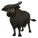 Black Water Buffalo