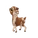 La Mancha Goat