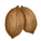 Lakota Pecan