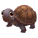 Bog Turtle