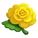 Yellow Marigold