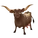 Longhorn Cow