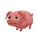 Landrace Pig