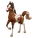 American Painted Horse