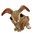 Jackrabbit