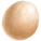 Ostrich Egg
